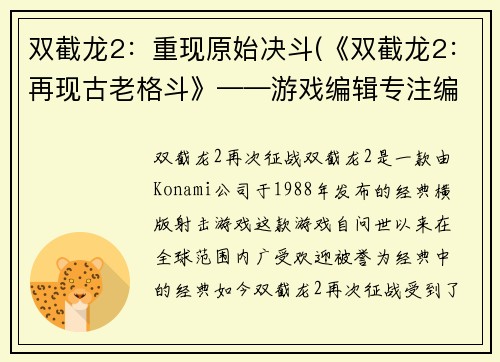 双截龙2：重现原始决斗(《双截龙2：再现古老格斗》——游戏编辑专注编写游戏相关文章)